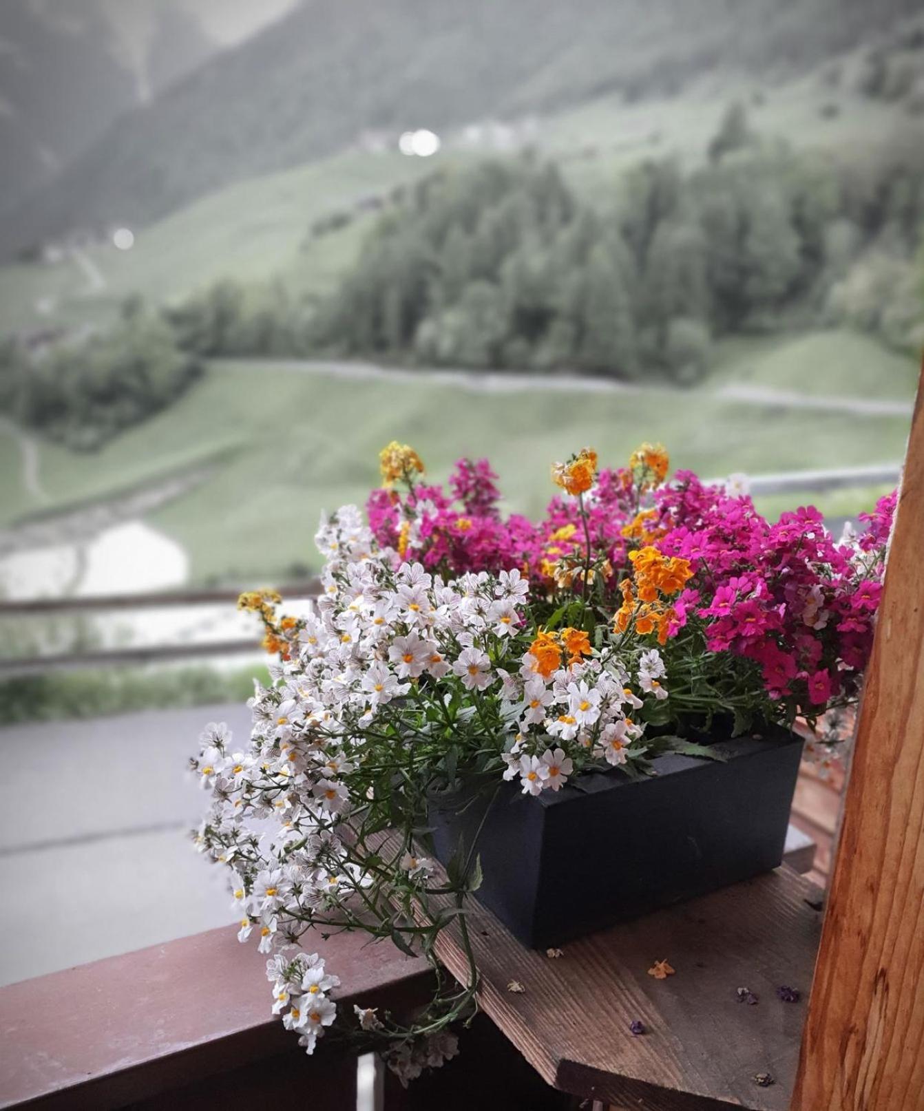 Wascherhof - Ferienwohnungen Oberhofer Martello Dış mekan fotoğraf